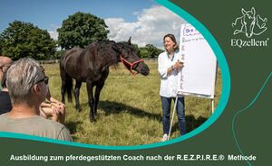 Ausbildung pferdegestüztes Coaching EQzellent REZPIRE.jpg