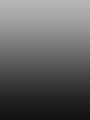PZS Hintergrund grau schwarz 1.jpg